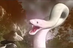 蛇妖修练千年终未能得道成仙，仙翁道出她未能成仙的天机视频封面