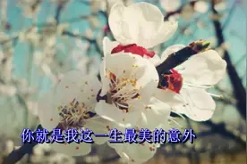 属于屌丝的情歌《屌丝的爱》唱出了屌丝的心声