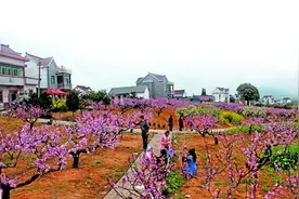 当涂大青山桃花节24日开幕 吃喝玩乐完全手册来啦图片