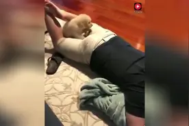 主人放了个屁，小狗狗闻到之后，居然对主人的屁股做这样的事