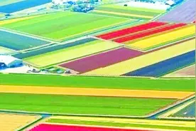 欧洲小国面积还没有哈尔滨大 竟是全球第二大农产品出口国视频封面