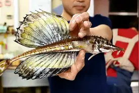 珍稀龙鱼做刺身，吃起来相当鲜美视频封面