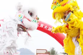 武夷山｜竟有两头狮子出没图片