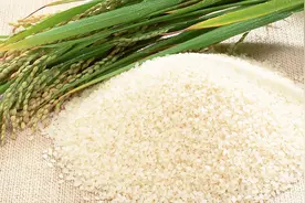 空气清新剂还花钱买？牛人大米自制米香清新剂，祛味效果真好视频封面