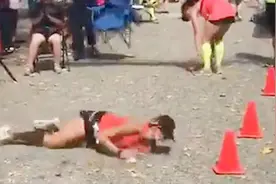 超励志！马拉松女选手体力透支滚过终点视频封面
