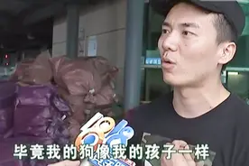 法国斗牛犬坐飞机，主人收到尸体！南方航空：按公斤赔偿