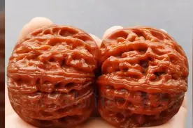 文玩核桃，核桃仁还能吃吗？