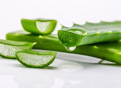 市面上芦荟胶没有效果？不如用生芦荟来敷脸，5个方法来自制面膜