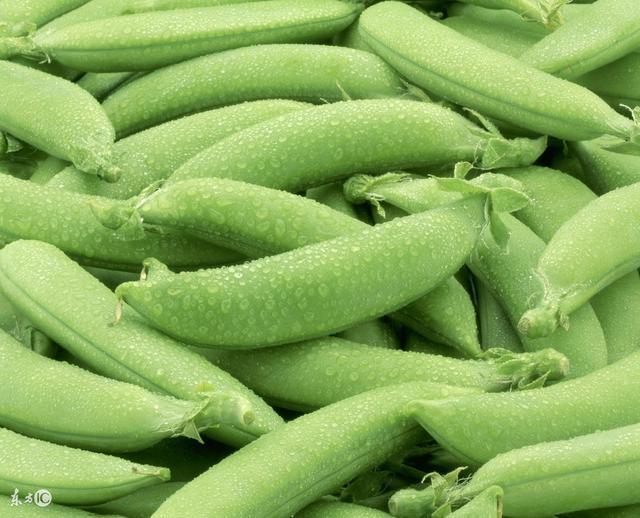 豌豆发芽了还可以吃吗 豌豆发芽了还可以吃吗有毒吗_品学知识网