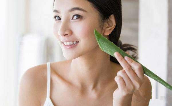 市面上芦荟胶没有效果？不如用生芦荟来敷脸，5个方法来自制面膜