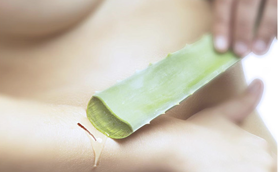 市面上芦荟胶没有效果？不如用生芦荟来敷脸，5个方法来自制面膜