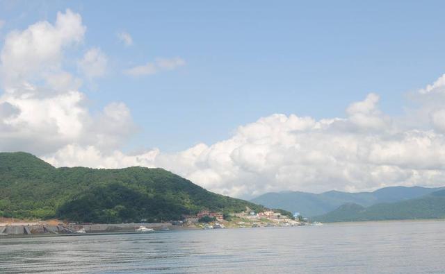 这年有财气的生肖牛，得好好抓住机会