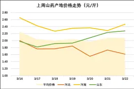 2016年3月16日-22日山药产地周行情:行情来了？图片