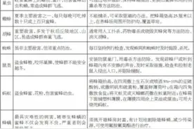 养蜂春繁有诀窍敌害疾病早防治图片