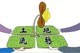 什么是土地流转？土地流转的模式是什么？图片