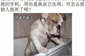 提示最新“远程锁苹果敲诈”图片