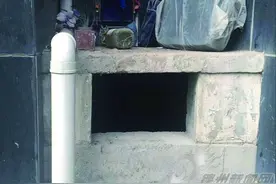 小猫掉进十米通风口 俩小伙通风口三救小猫并领养图片