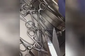 狗狗的眼部息肉增生原来可以切除视频封面