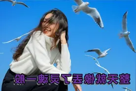 《没有你的陪伴我真的好孤单》KTV女生必点的歌！非常好听视频封面