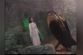 杨过到剑冢寻玄铁重剑，终于领悟到独孤求败五种剑之意境视频封面