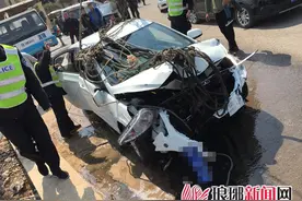 临沂女司机操作不慎连人带车坠河 俩小伙生死营救图片