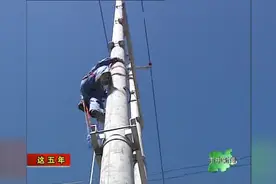 枣庄市市中区：加快农村电网升级改造 让惠民实事工程早惠民视频封面
