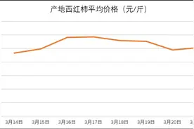 2016年3月14-21日西红柿市场与产地行情周报图片