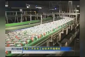 天门市上半年全市工业经济平稳增长视频封面