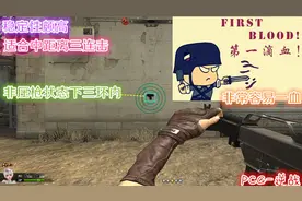 逆战T2MK5评测 赢在了稳定败给了射速图片