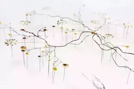 蝴蝶&花&羽毛，手工拼贴一个最艺术的自然图片