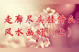 走廊尽头挂什么风水画好（上）视频封面