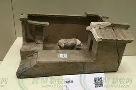 农民养猪进社区：山东莒南对中国传统散养模式的积极探索图片