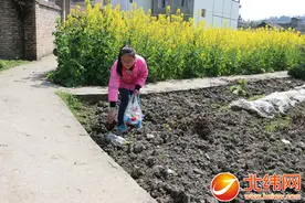 14岁女孩捡废品凑钱 只为妈妈能多接受一次透析图片