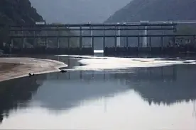 美味有毒！河滩捡回来的大螺头差一点要了我的命图片