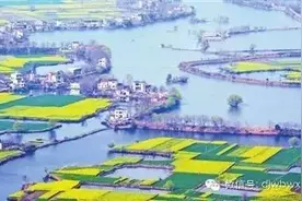 约吧没去过芜湖这几处“花海”，你还要春天干嘛？图片
