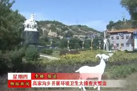 柳林县高家沟乡开展环境卫生大排查大整治视频封面