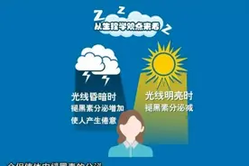 为什么下雨天睡觉特别香图片