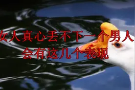 女人真心丢不下一个男人，会有这几个表现，一定要懂视频封面