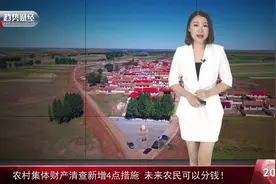 农村红利专项管理制度再度加强，人人都可以分得利益！视频封面