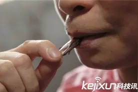 虐心：卧室有蟑螂怎么办? 有人养几十万做储备粮图片
