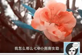 说真滴｜这些满大街的豪车，其实都是一个爸妈生的图片