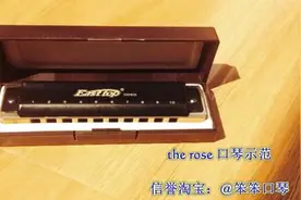 the rose-十孔口琴 蓝调音阶图片