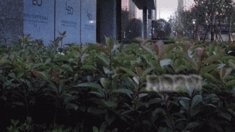 试了那么多网传方法，还是选择流着泪切洋葱吧