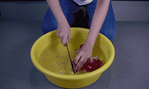 试了那么多网传方法，还是选择流着泪切洋葱吧