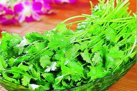胃病反复老不好？1把香菜2勺红糖，保护胃黏膜，告别老胃病视频封面