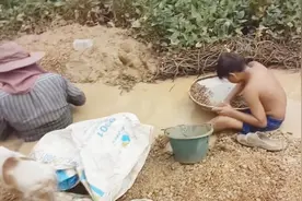 这些柬埔寨农民，为了增加收入，每天在河中淘金赚钱视频封面