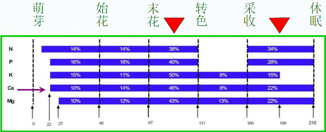 葡萄钙素营养与施用建议——（二）