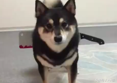 ˰ѵڲȮϣ±ˣҪ