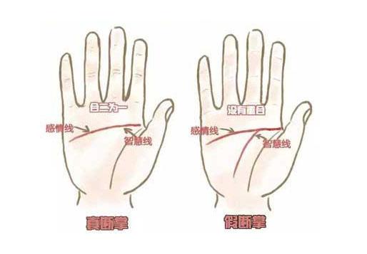 手相解"断掌"纹,命硬还是手握千金
