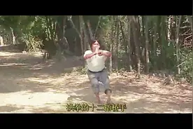 洪金宝表演洪拳十二指桥手，一招一式拆解十分过瘾视频封面